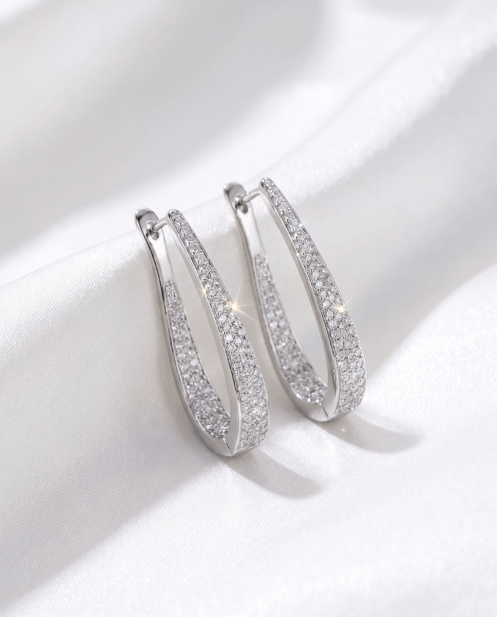 Big Hoop Earrings 