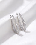 Big Hoop Earrings 