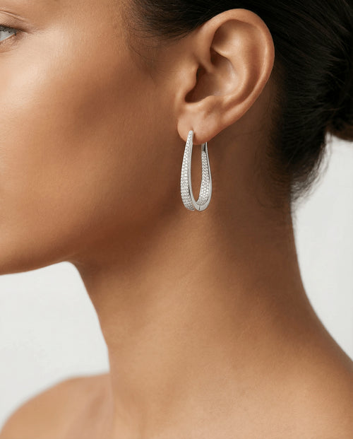 Big Hoop Earrings 